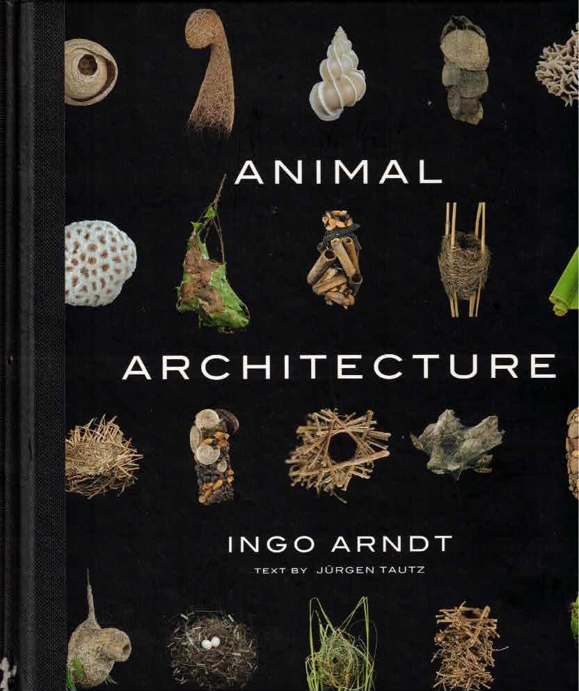 Animal Architecture by: Tautz, Jurgen; Forward by: Brandenburg, Jim, Illust. by: Arndt, Ingo