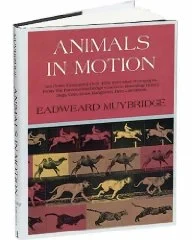 Animals in MotionMuybridge, Eadweard