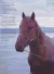 Around the Sacred Sea: Mongolia and Lake Baikal on Horseback by: Bull, Bartle, Illust. by: Boit, JohnYalman, Kerim