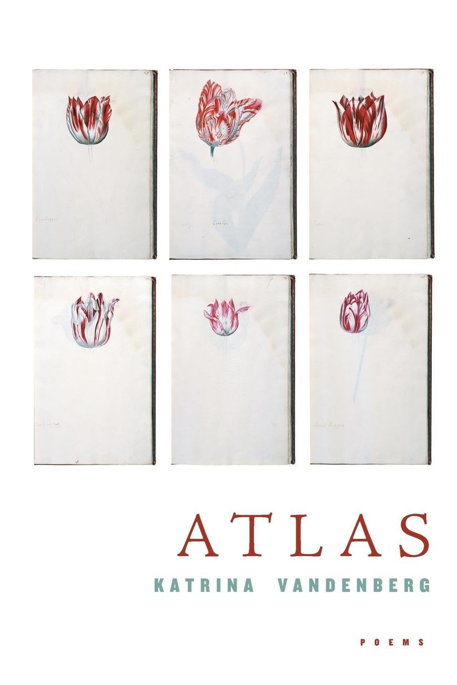 Atlas: Poems by: Vandenberg, Katrina