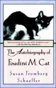 Autobiography of Foudini M. CatSchaeffer, Susan Fromberg