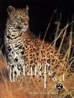 Best of Wildlife Art 2Wolf, Rachel Rubin (Editor)