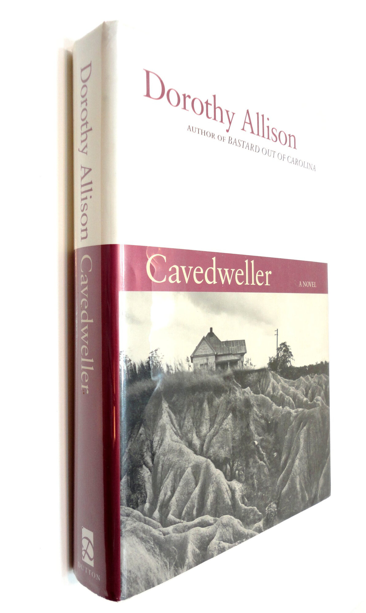 Cavedweller by: Allison, Dorothy
