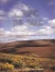 Chasing The Dark: Perspectives on Place, History and Alaska Native Land Claims by: Editor: Pratt, Kenneth L.