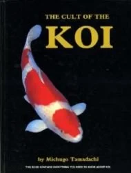 Cult of the Koi HbTamadachi, Michugo