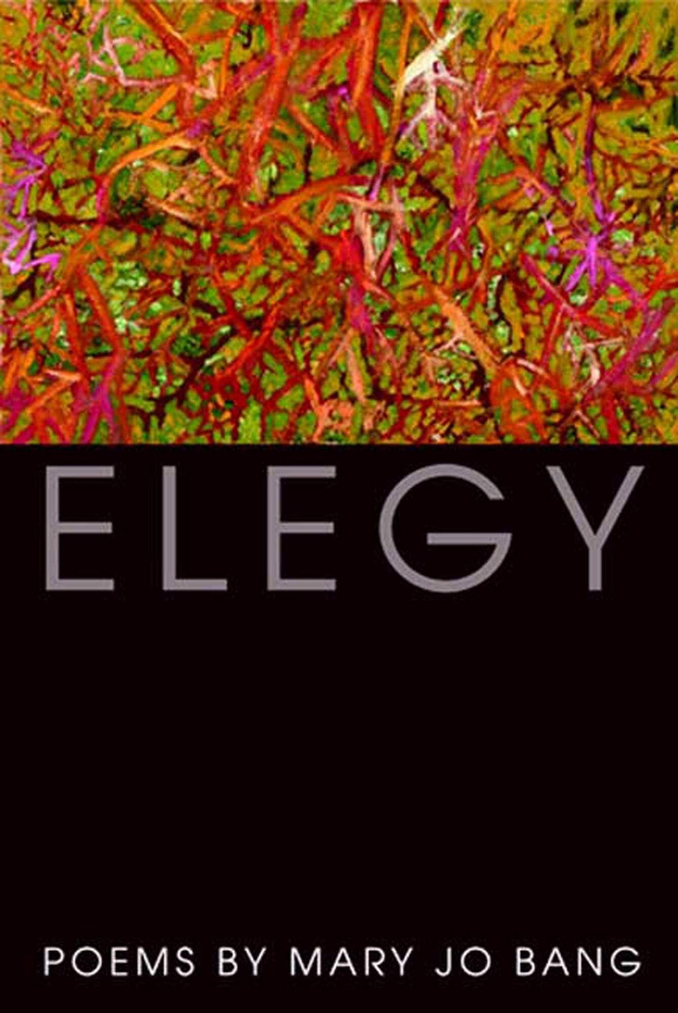 Elegy: Poems by: Bang, Mary Jo