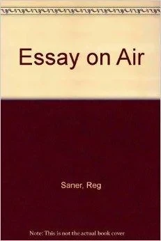 Essay on AirSaner, Reg