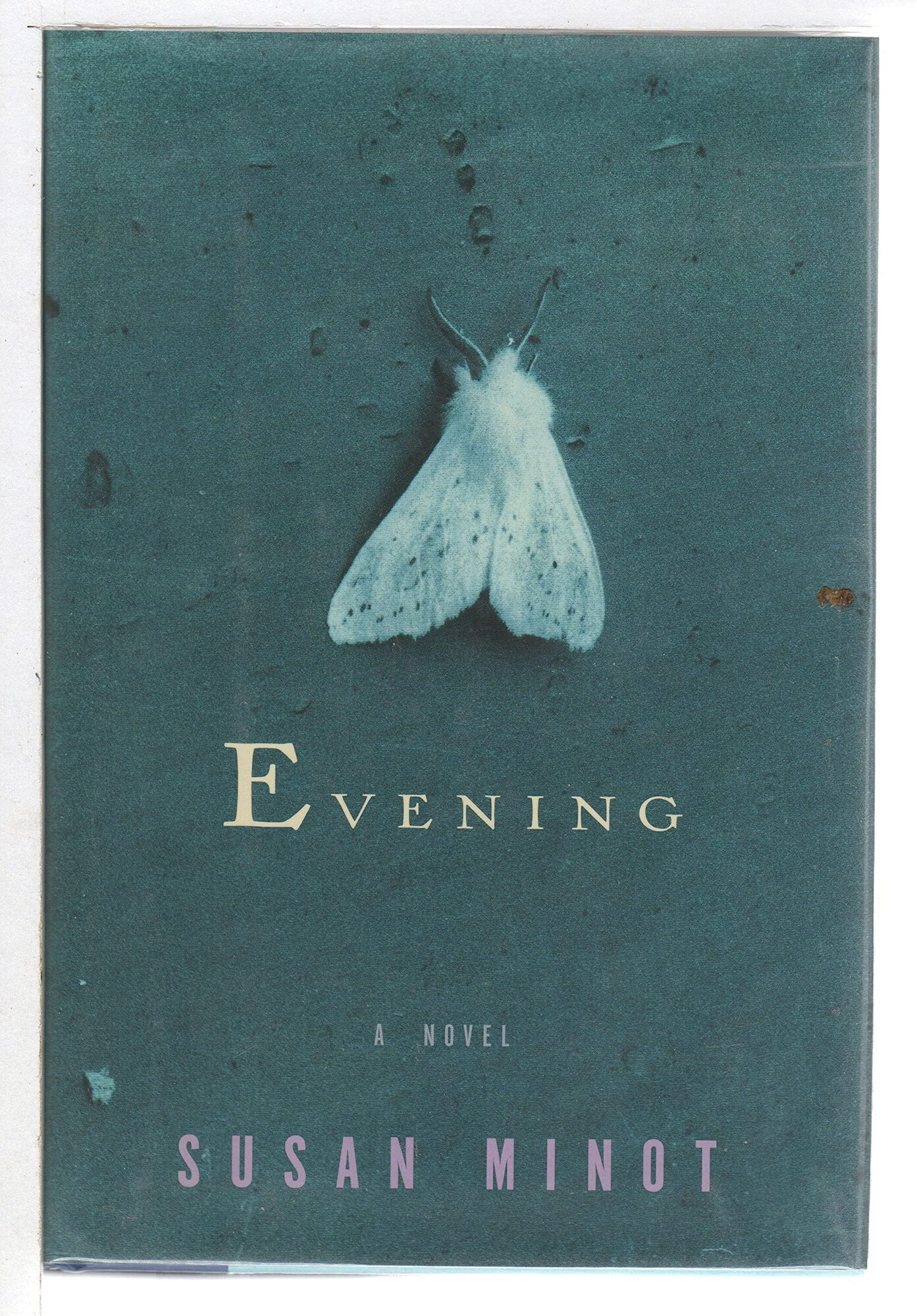 Evening by: Minot, Susan