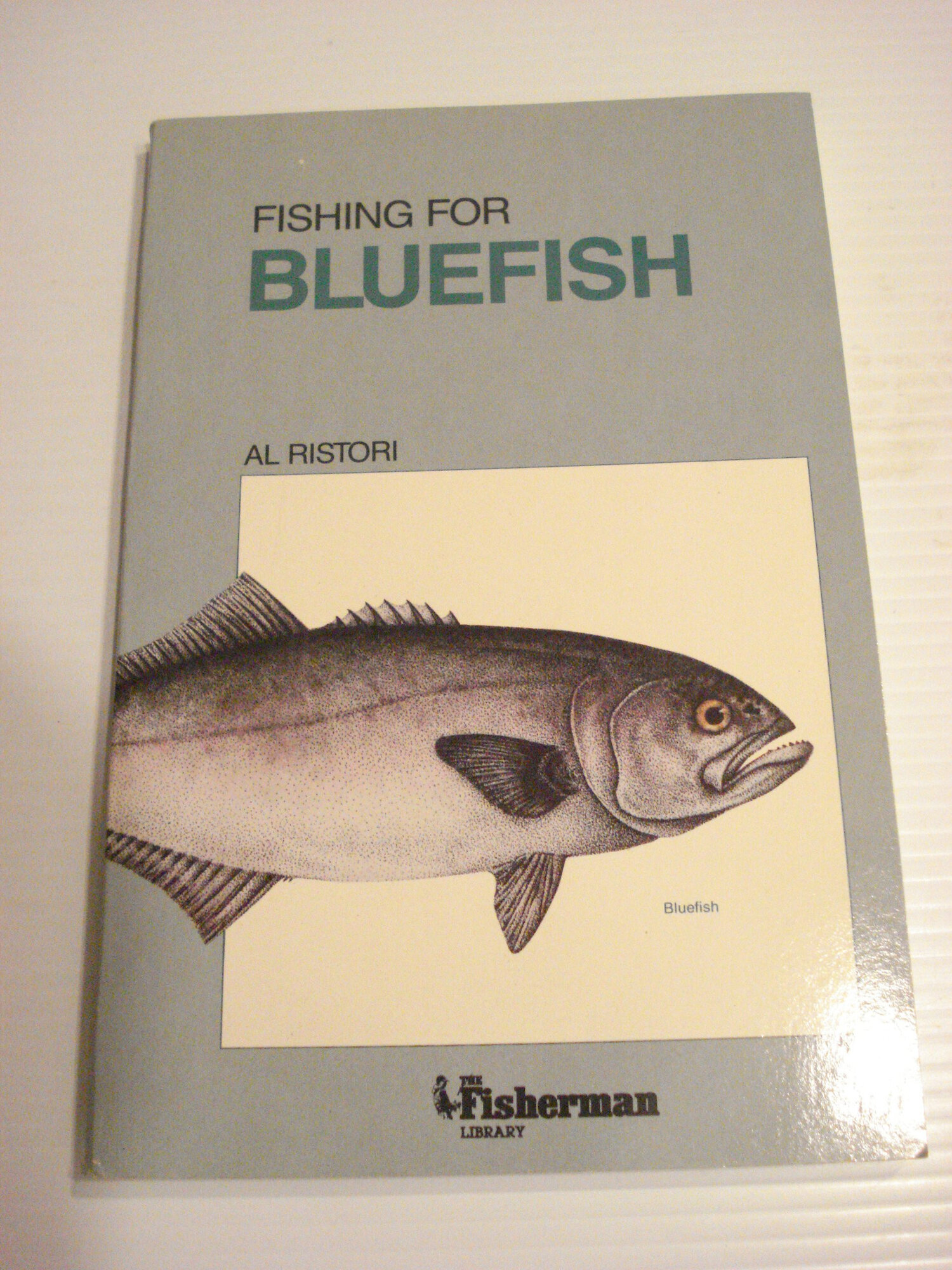 Fishing for Bluefish by: Ristori, Al