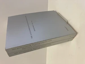 Guggenheim Museum Collection, The: Paintings 1880-1945Rudenstine, Angelica Zander