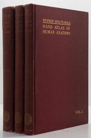 Hand Atlas of Human Anatomy, Vol. 1: Bones, Joints, LigamentsSpalteholz, Werner