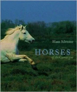 Horses of the CamargueSilvester, Hans