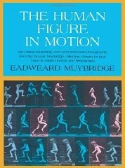 Human Figure In Motion, The Muybridge, Eadweard