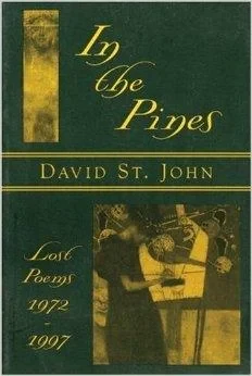 In the Pines: Lost Poems: 1972-1997John, David St.
