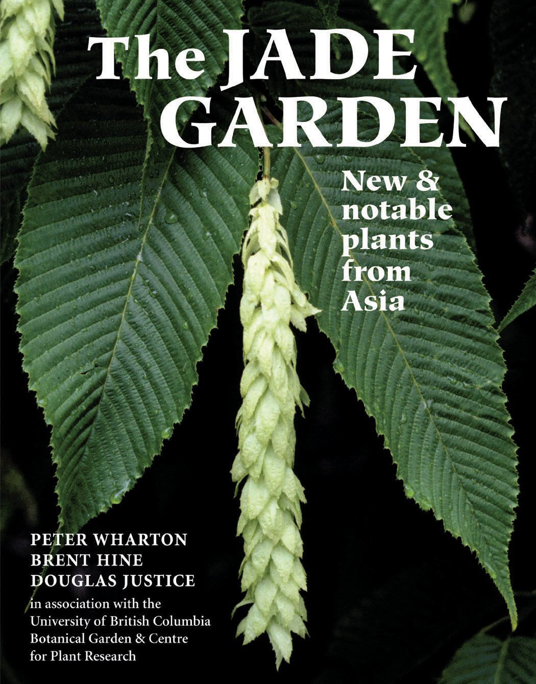 Jade Garden, The : New and Notable Plants from Asia by: Wharton, Peter