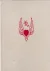 King Rene's Book of Love by: d'Anjou, ReneTransl. Wilkins, Sophie