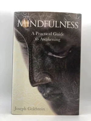 Mindfulness: A Practical Guide to AwakeningGoldstein, Joseph