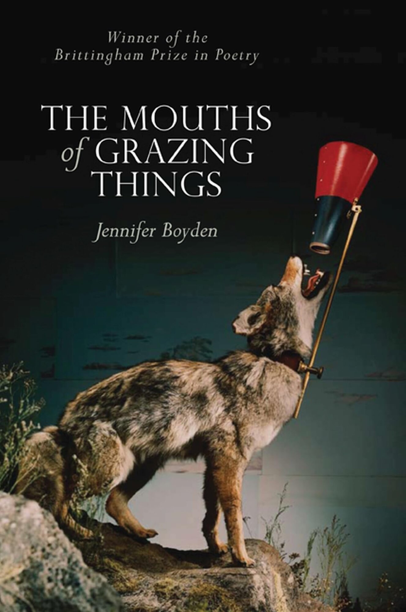 Mouths of Grazing Things, The  by: Boyden, Jennifer