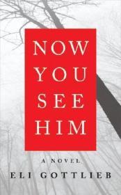 Now You See Him: A NovelGottlieb, Eli