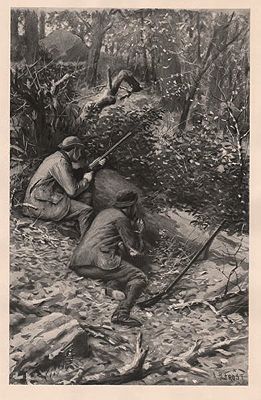 ORIG B&W SPORTING PRINT/ "CALLING WILD TURKEYS"0..........Frost (Illust.), A.B., Illust. by: A.B.  Frost