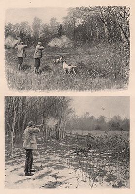 ORIG B&W SPORTING PRINT/ "I MISSED MINE TO THE LEFT/ A SHOT IN THE OPEN"Frost (Illust.), A.B., Illust. by: A.B.  Frost