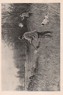 ORIG B&W SPORTING PRINT/ "QUAIL-SHOOTING - FOUR BARRELS AND FOUR BIRDS"Frost (Illust.), A.B., Illust. by: A.B.  Frost