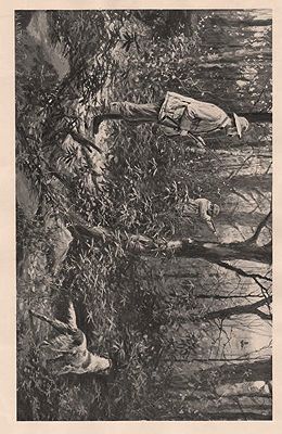 ORIG B&W SPORTING PRINT/ "RUFFED GROUSE SHOOTING - A CLEAN MISS AND HIS EYE WIPED"Frost (Illust.), A.B., Illust. by: A.B.  Frost