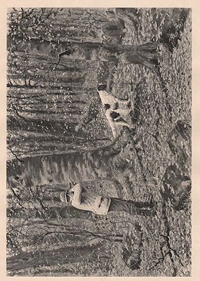 ORIG B&W SPORTING PRINT/ "RUFFED GROUSE SHOOTING - AN OPEN SHOT"Frost (Illust.), A.B., Illust. by: A.B.  Frost