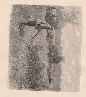 ORIG B&W SPORTING PRINT/ "SHOOT! SHOOT, MAN! WHY DON'T YOU SHOOT?"Frost (Illust.), A.B., Illust. by: A.B.  Frost