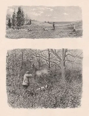 ORIG VINTAGE BOOK PRINT - TWO HUNTING SCENESFrost (Illust.), A. B., Illust. by: A.B.  Frost