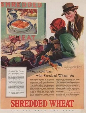 ORIG VINTAGE MAGAZINE AD/ 1920s SHREDDED WHEAT ADillustrator- N/A