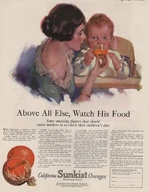 ORIG VINTAGE MAGAZINE AD/ 1924 SUNKIST ORANGES ADillustrator- Roy  Spreter