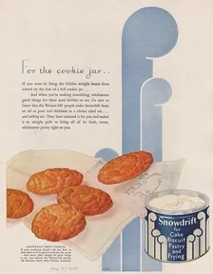 ORIG VINTAGE MAGAZINE AD/ 1931 SNOWDRIFT ADillustrator- N/A