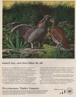 ORIG VINTAGE MAGAZINE AD/ 1952 WEYERHAEUSER TIMBER COMPANY ADillustrator- Fred  Ludekens