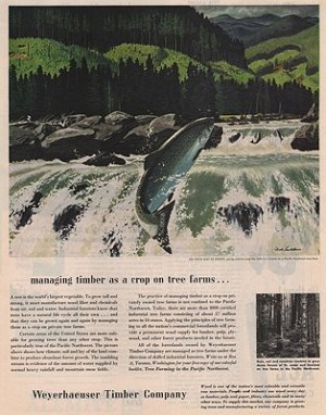 ORIG VINTAGE MAGAZINE AD/ 1953 WEYERHAEUSER TIMBER CO. AD.illustrator- Fred   Ludekens