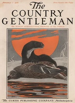ORIG VINTAGE MAGAZINE COVER/ COUNTRY GENTLEMAN - JANUARY 1 1916Bransom (Illust.), Paul, Illust. by: Paul  Bransom