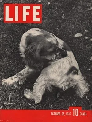ORIG VINTAGE MAGAZINE COVER/ LIFE - OCTOBER 25 1937N/A