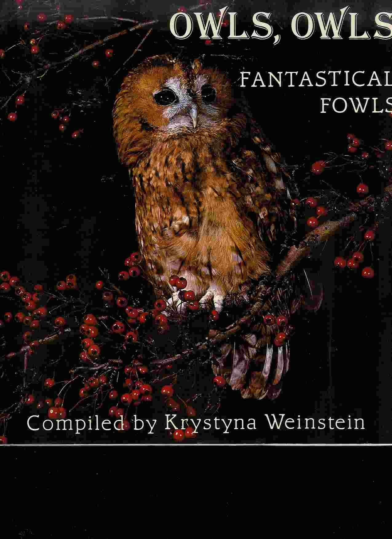 Owls, owls, fantastical fowls by: Weinstein, Krystyna