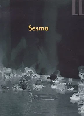 Raymundo SesmaRomano, Gianni