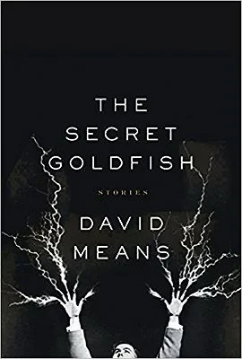 Secret Goldfish, TheMeans, David