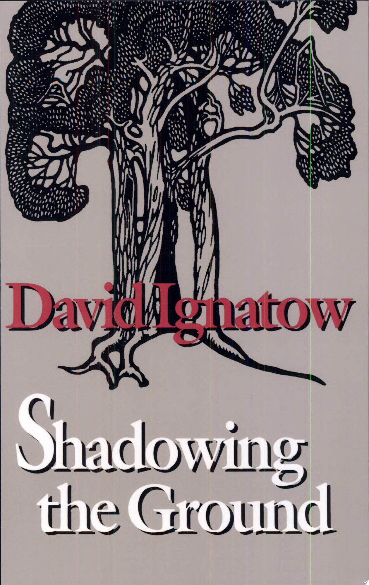 Shadowing the Ground by: Ignatow, David