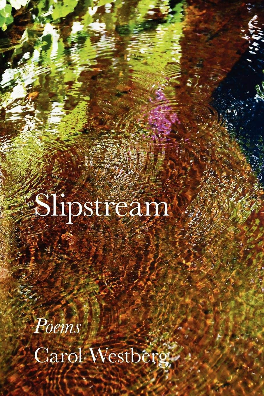 Slipstream by: Westberg, Carol