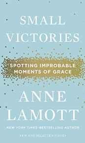 Small Victories: Spotting Improbable Moments of GraceLamott, Anne