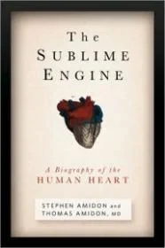Sublime Engine, TheAmidon, Stephen & Thomas