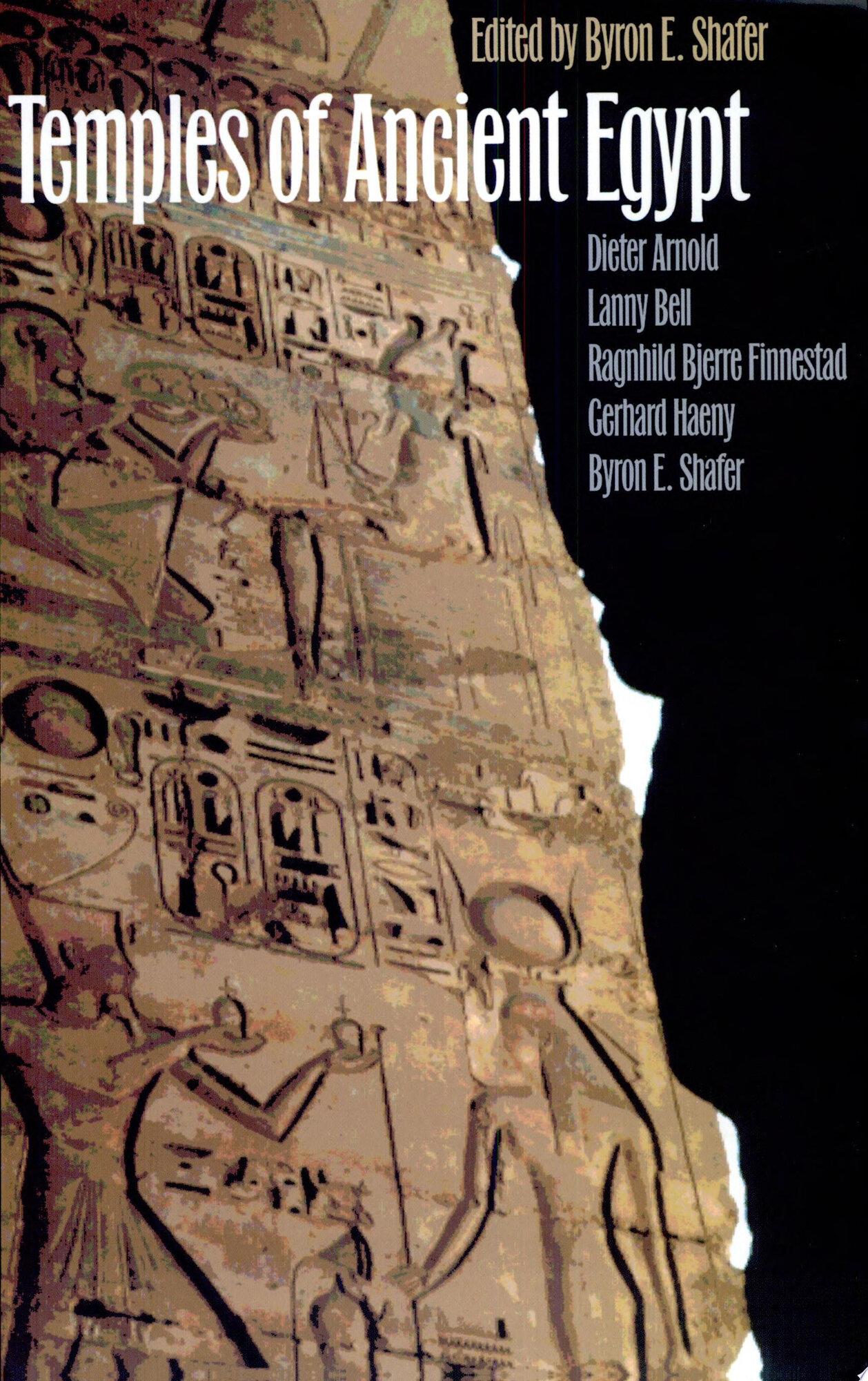 Temples of ancient Egypt by: N/A