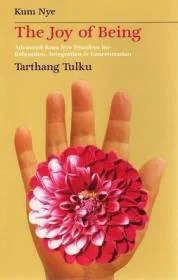 The Joy of Being: Advanced Kum Nye Practices for Relaxation, Integration & ConcentrationTulku, Tarthang