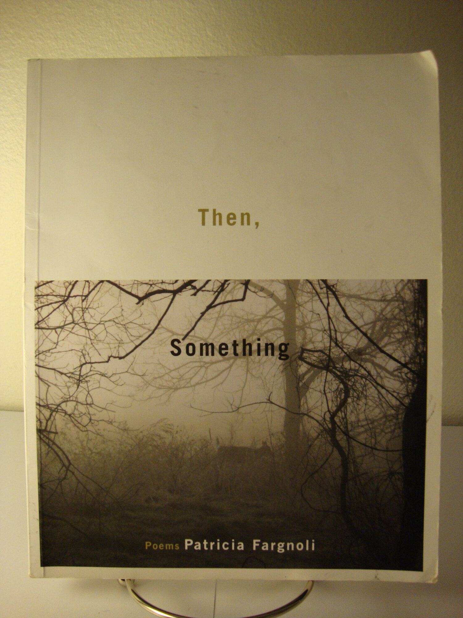 Then, Something by: Fargnoli, Patricia