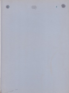 Two Journeyman Painters [Benjamin Franklin Mason and Abraham G.D. Tuthill] by: Frankenstein, AlfredHealy, Arthur K. D.