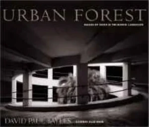 Urban Forest: Images of Trees in the Human LandscapeBayles, David Paul 