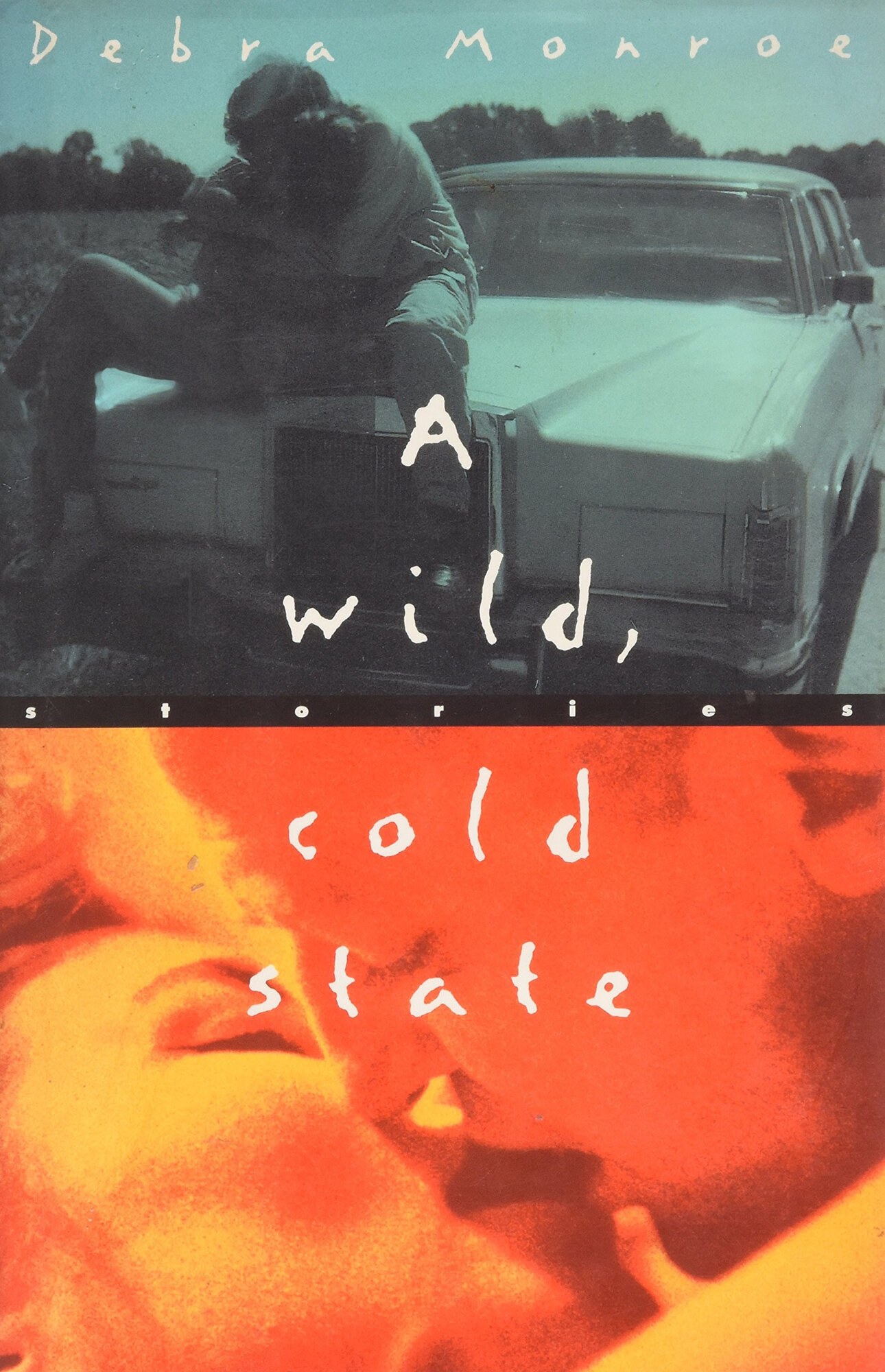 Wild, Cold State by: Monroe, Debra